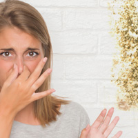 Mold and Musty Odors