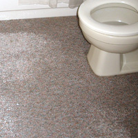 Mold and Wet Carpet