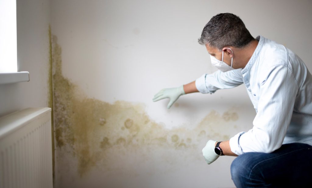 Signs you have mold