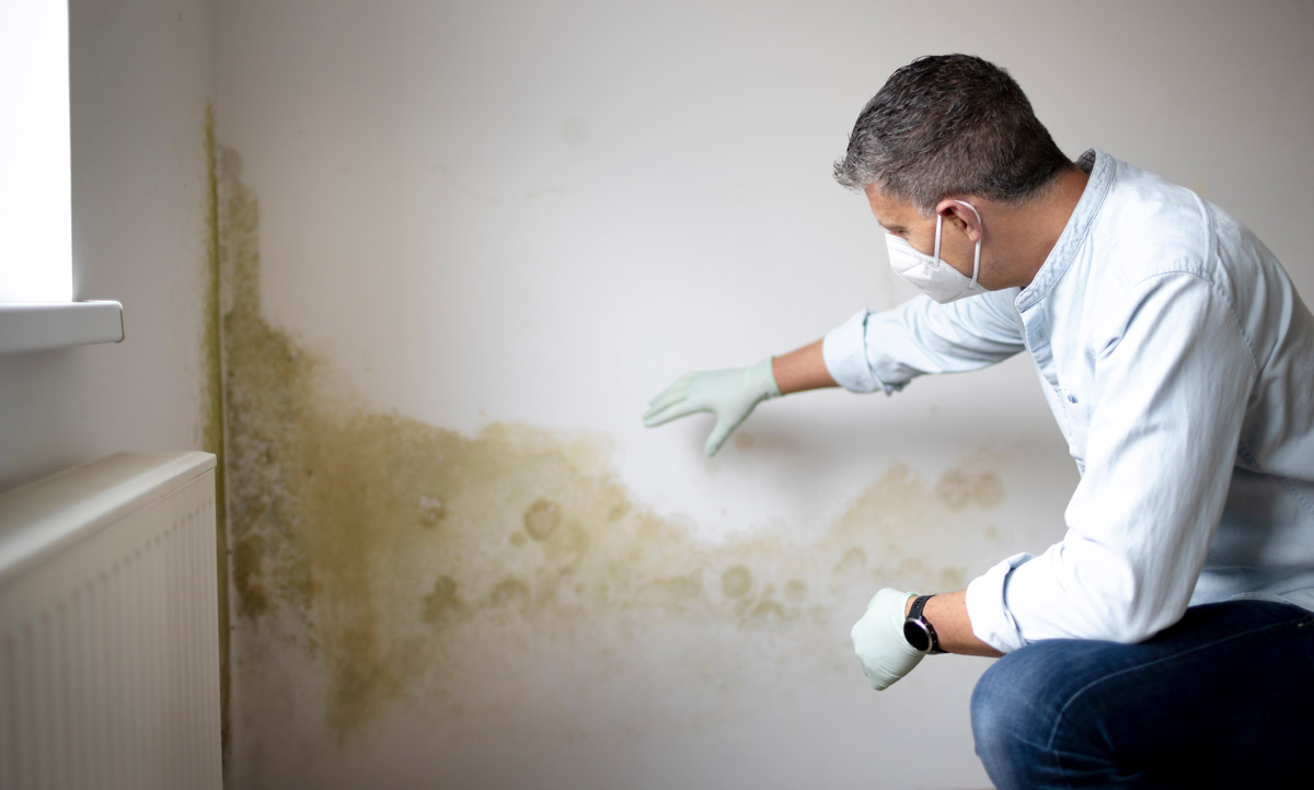 Signs you have mold